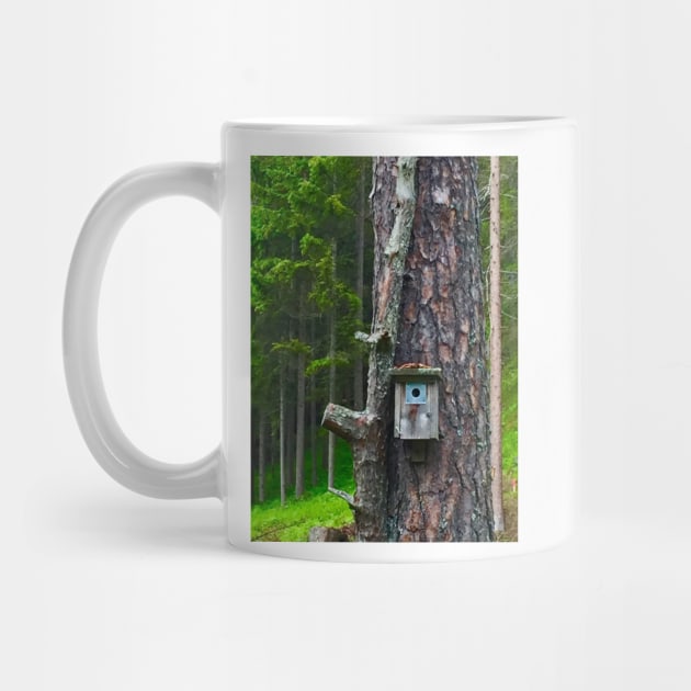 Birdhouse on Tree by ephotocard